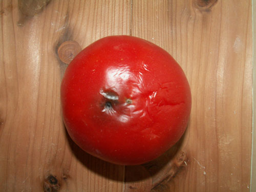 トマトの変化自然素材　.JPG